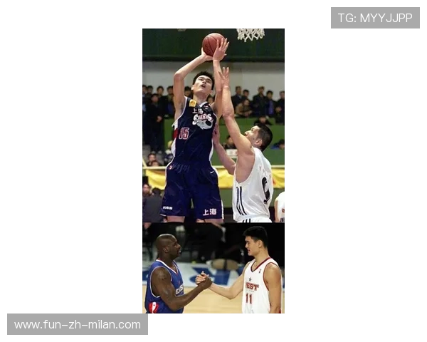 NBA球队防守策略深度剖析，nba防守体系